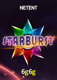 6g6g: Seu Especialista em Apostas Esportivas Brasileiras